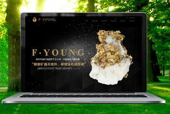 �żҿڸ������ﱦʯ